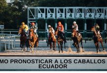 Cómo pronosticar a los caballos en Ecuador