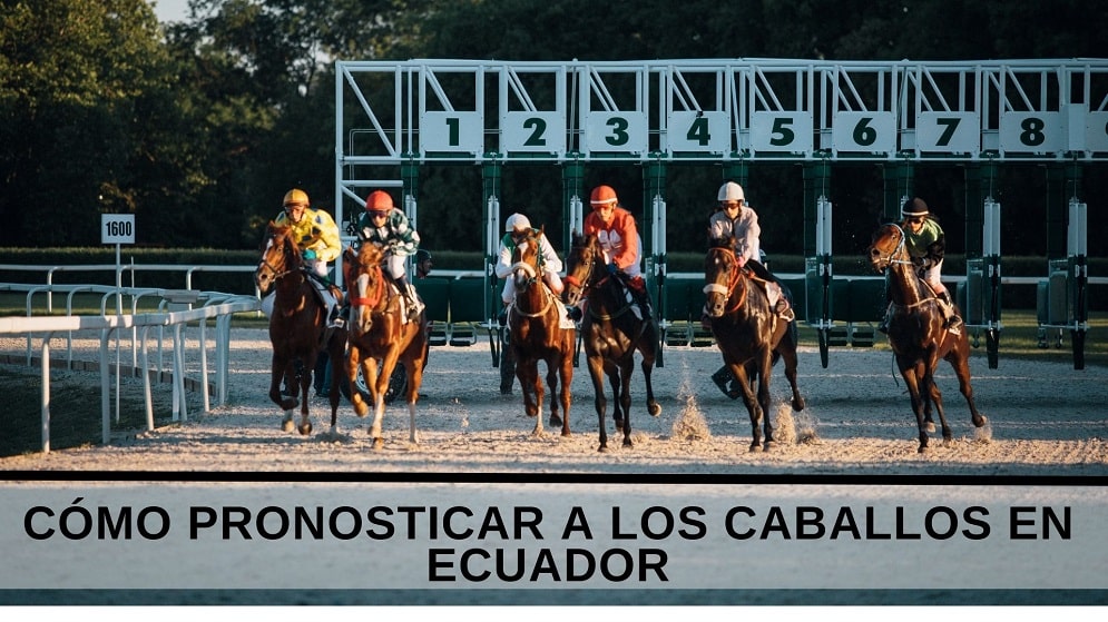 Cómo pronosticar a los caballos en Ecuador