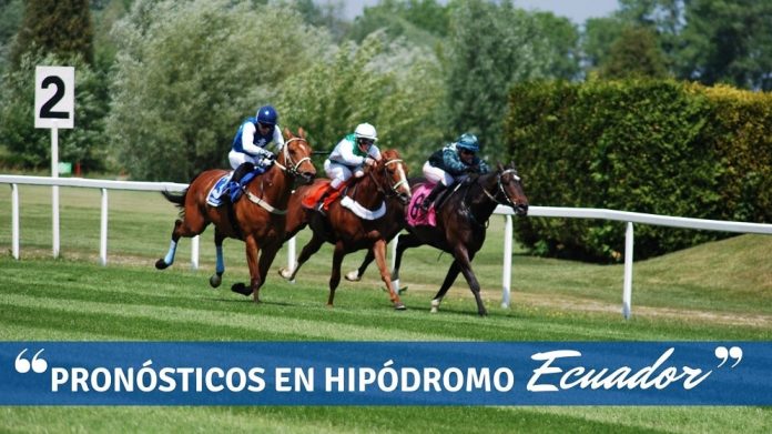 Pronósticos en hipódromo Ecuador